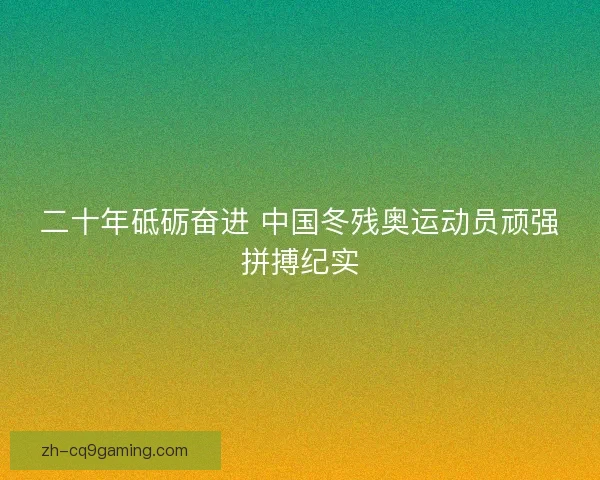 二十年砥砺奋进 中国冬残奥运动员顽强拼搏纪实