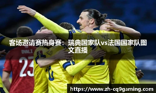 客场邀请赛热身赛：瑞典国家队vs法国国家队图文直播